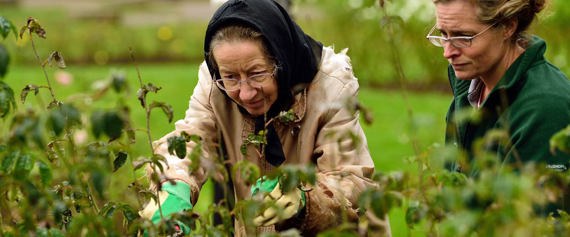Two people pruning a shrub.