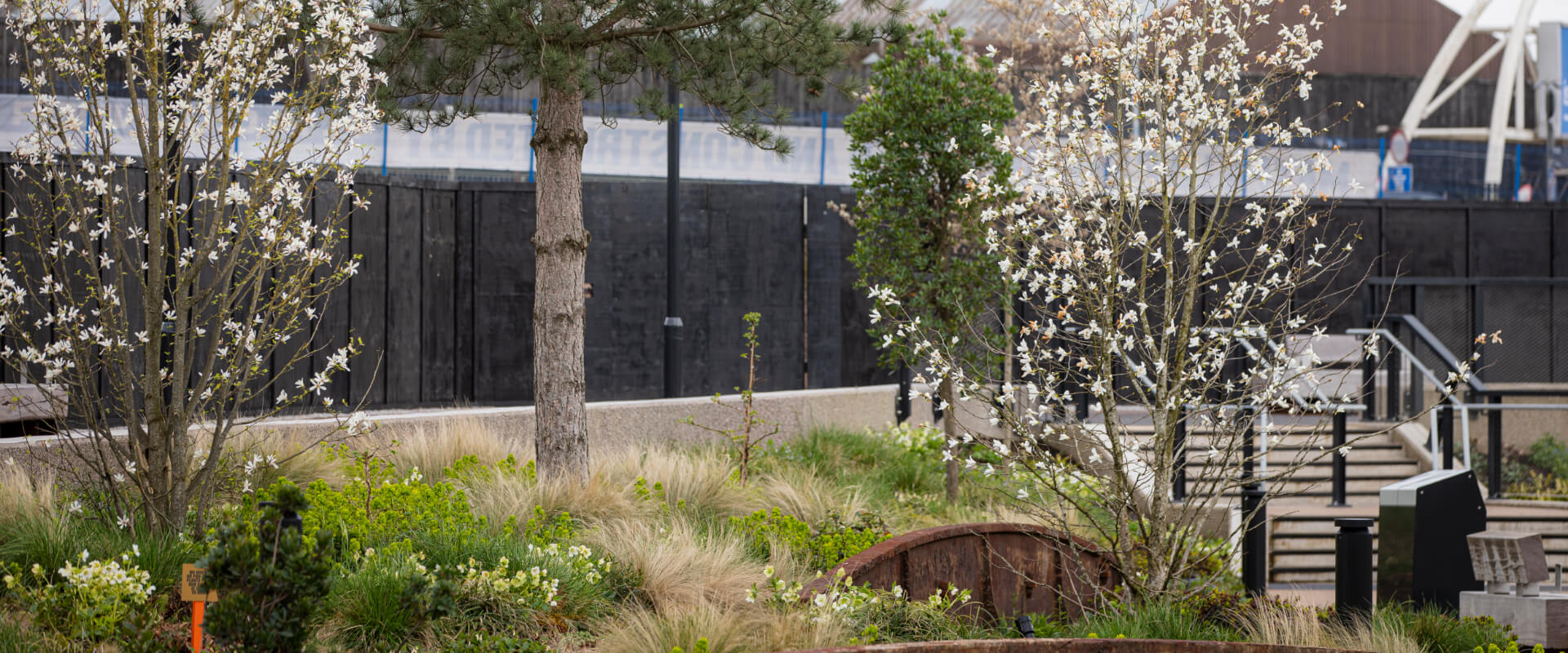 A pathway lined with trees blossoming and plants.