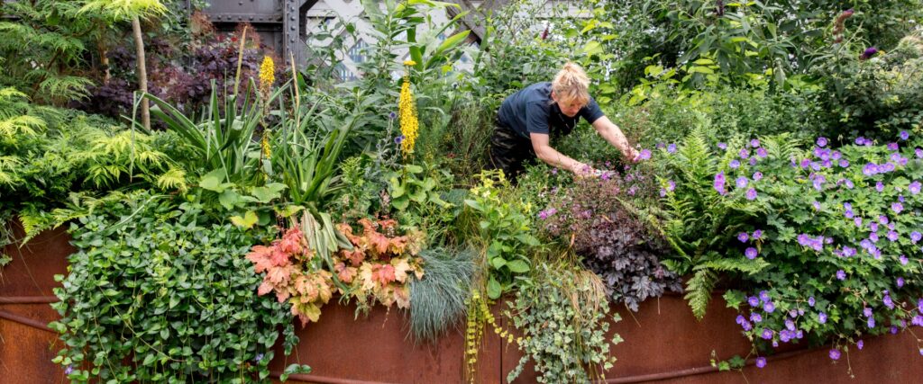 Quick start guide to urban greening - Nature Towns and Cities