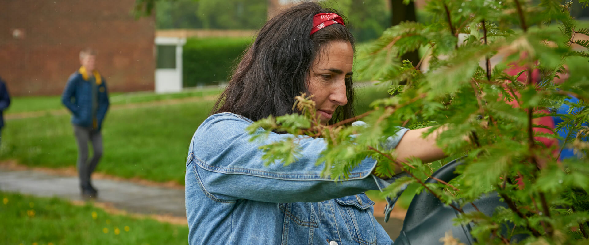 A person using a watering can to water a shrub.