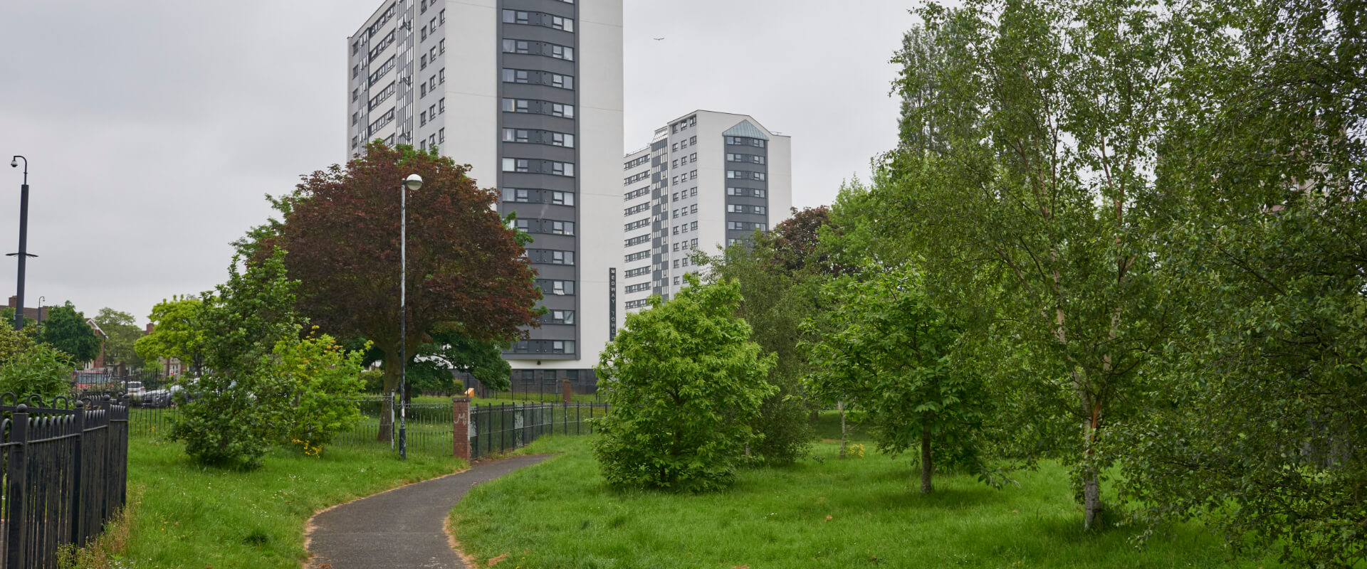 A grass park area with trees. There are two high storey flat buildings behind the park.