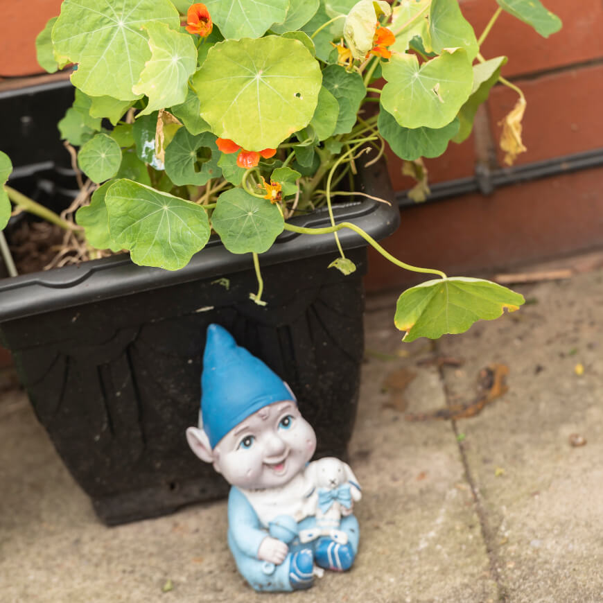 A gnome in front of a plant in a pot.