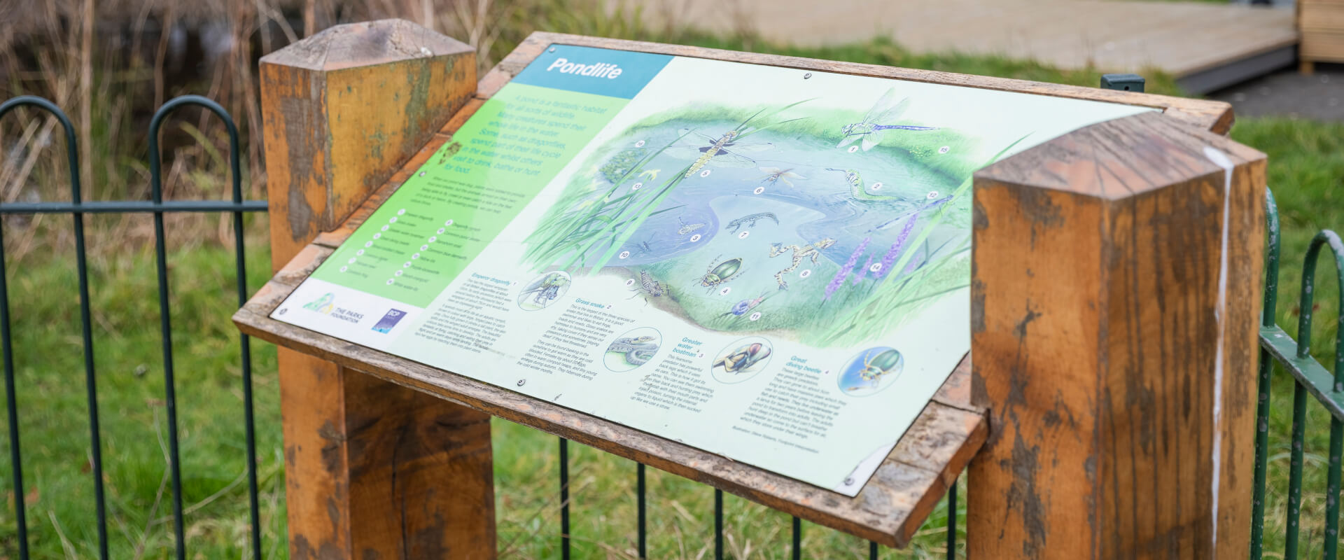 A sign providing information about a wildlife pond.