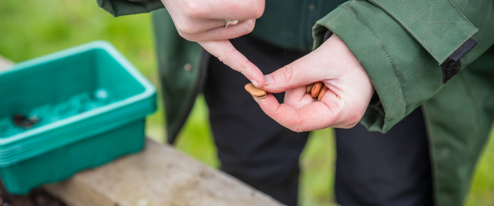 A person holding and pointing to a seed.