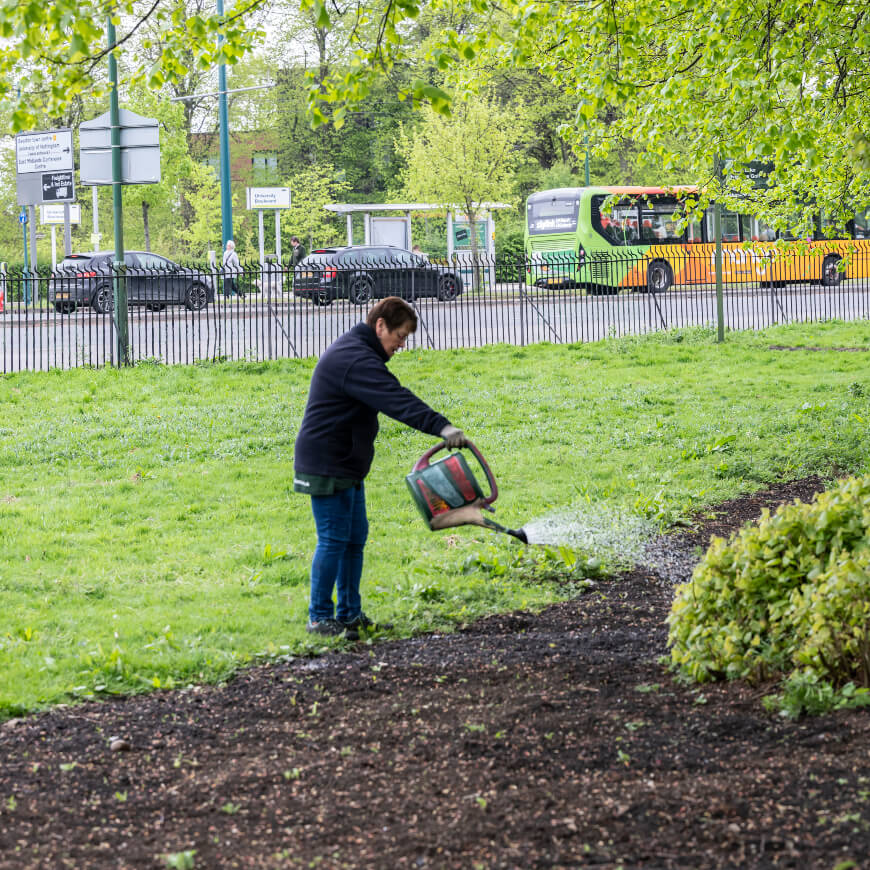 A person watering plants within a park.