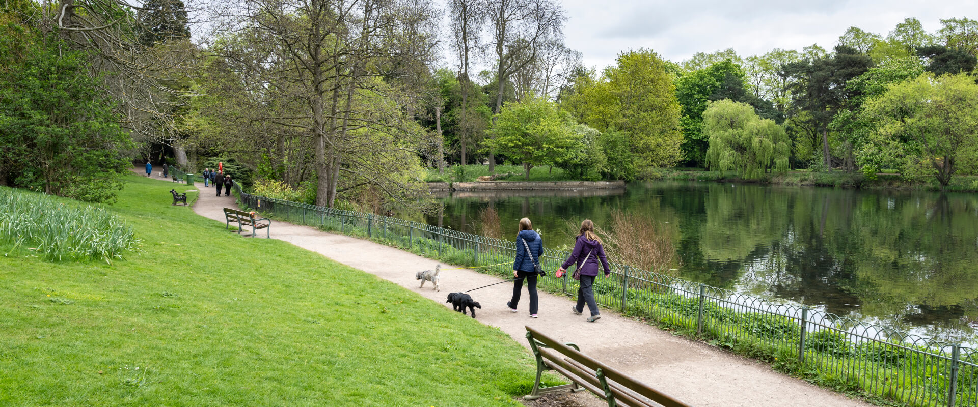 Two people walking their dogs along a path in a park next to a pond.