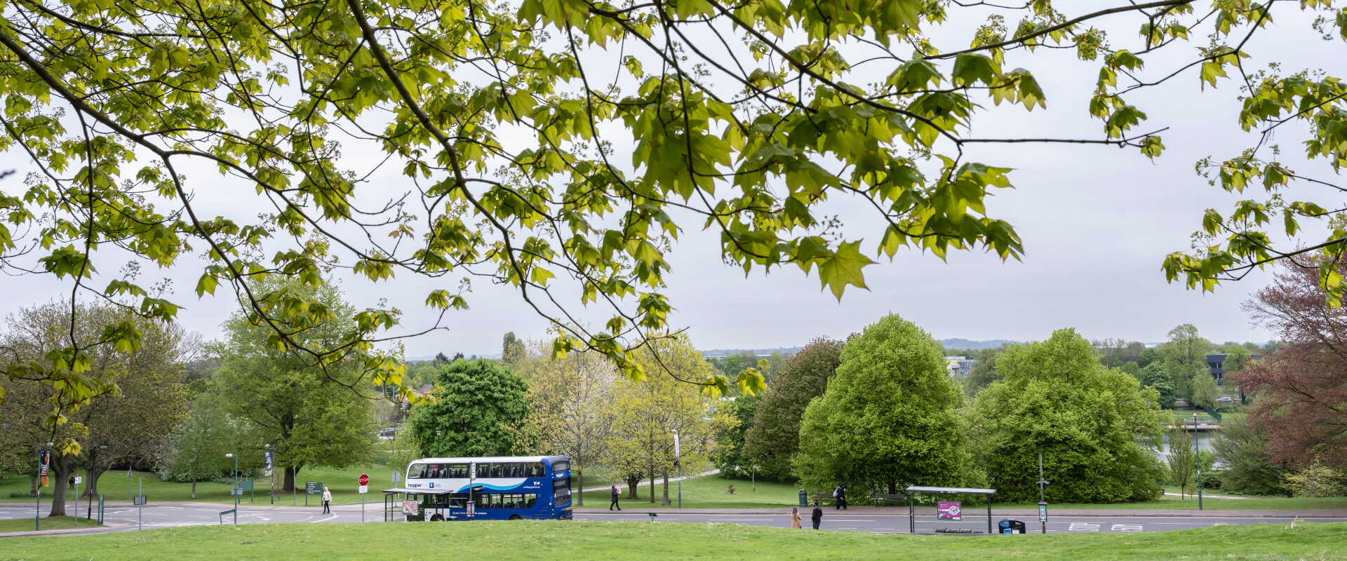 A bus at a bus stop next to a large park. People are walking along the paths.