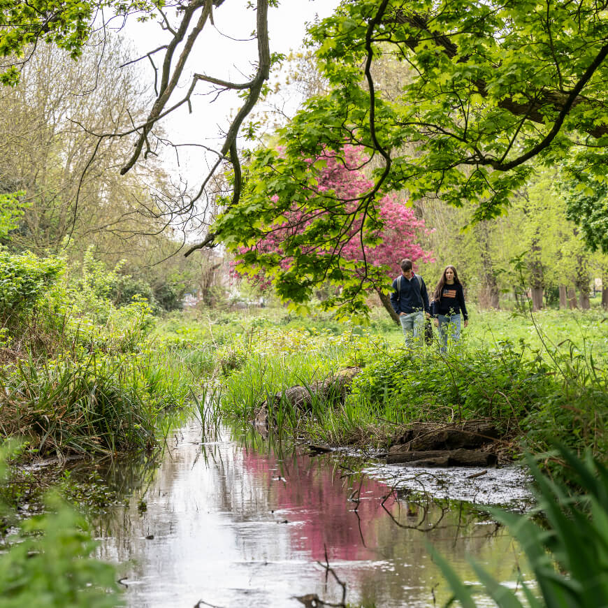 Two people walking through a grassy area in a park next to water.