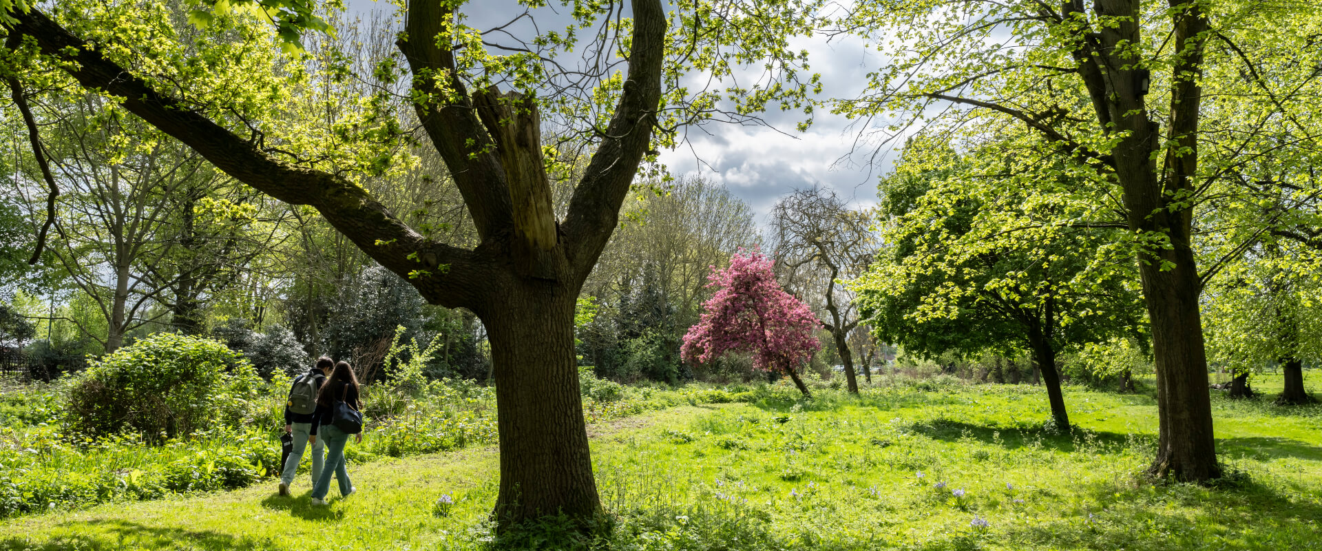 Two people walking along a grassy path in a park surrounded by trees.