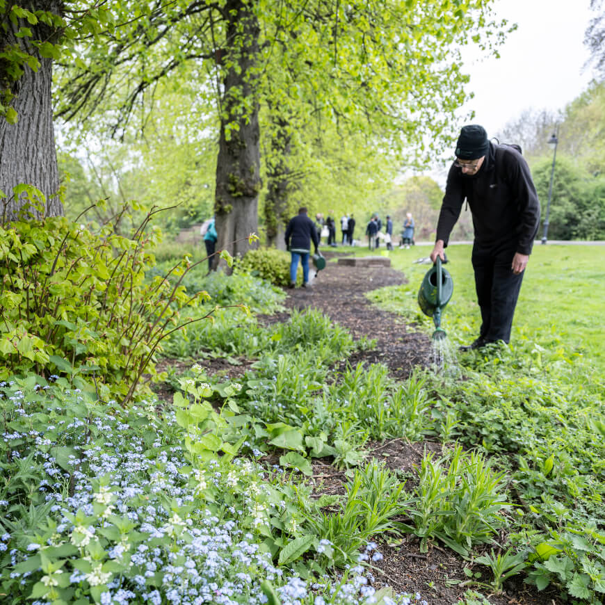 People watering plants within a park.