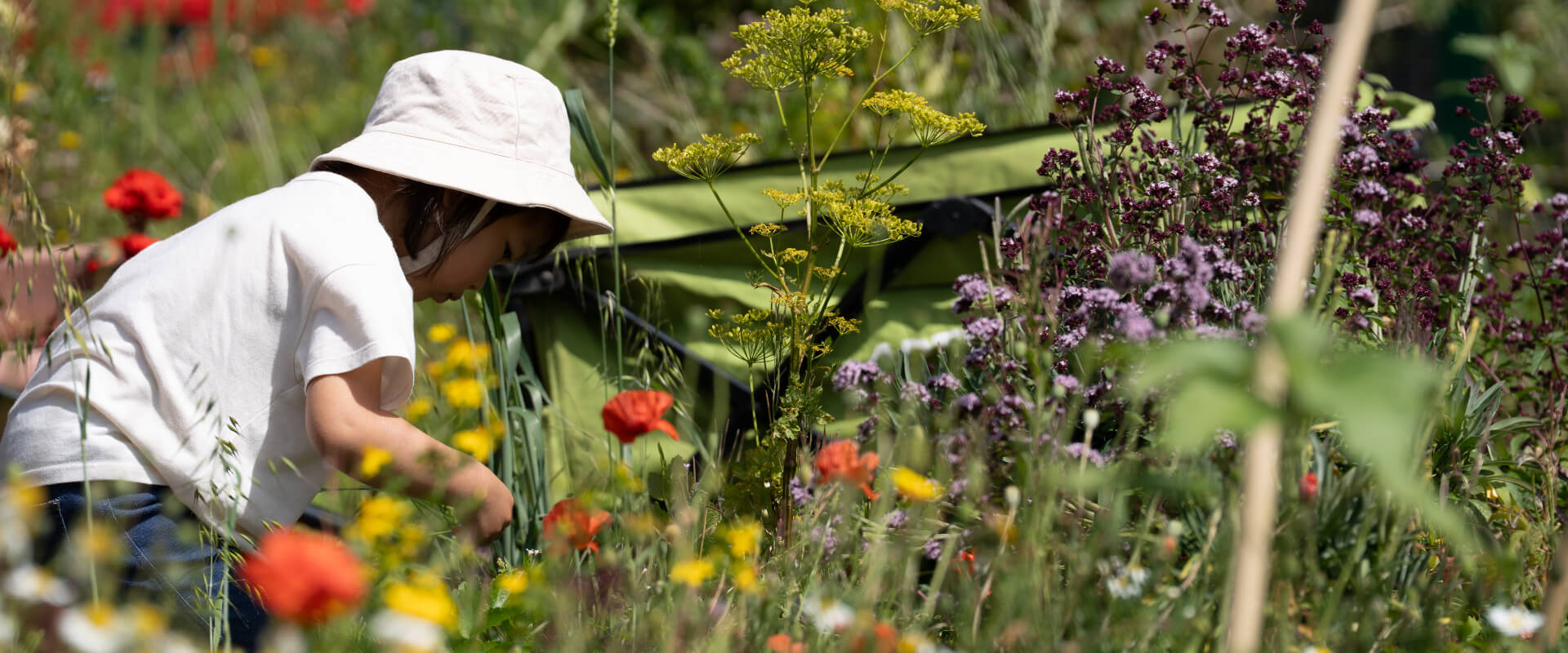 A young child leant over within a flower patch.