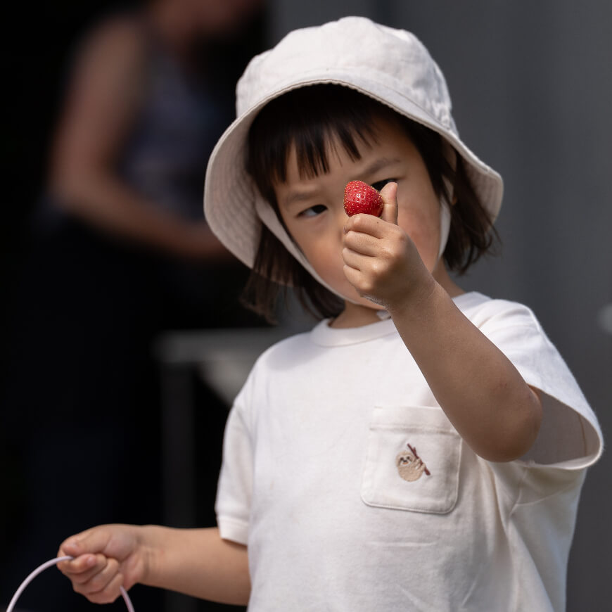 A young child holding up and looking at a strawberry.