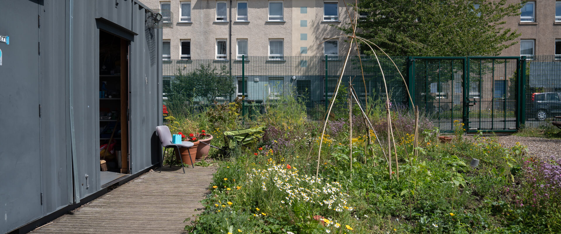 A shed, walkway and community garden area with flowers and plants. There is housing in the background.