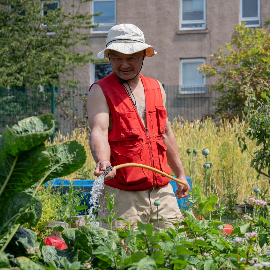 A person wearing a hat and utility vest watering plants within a community garden.