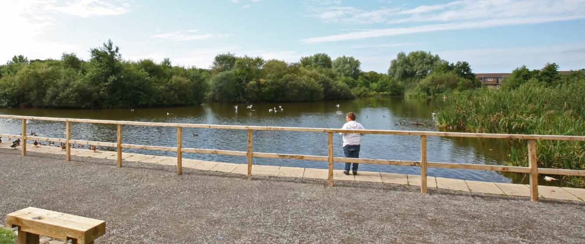A child stands leaning on a wooden rail near a lake, surrounded by trees, houses and a walkway.