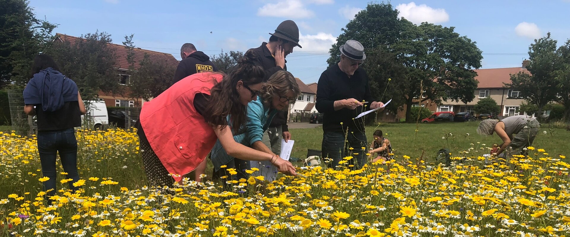 A group of people looking at a wild flower meadow in an urban area on a sunny day. Some of the group are making notes about the flowers on pieces of paper.