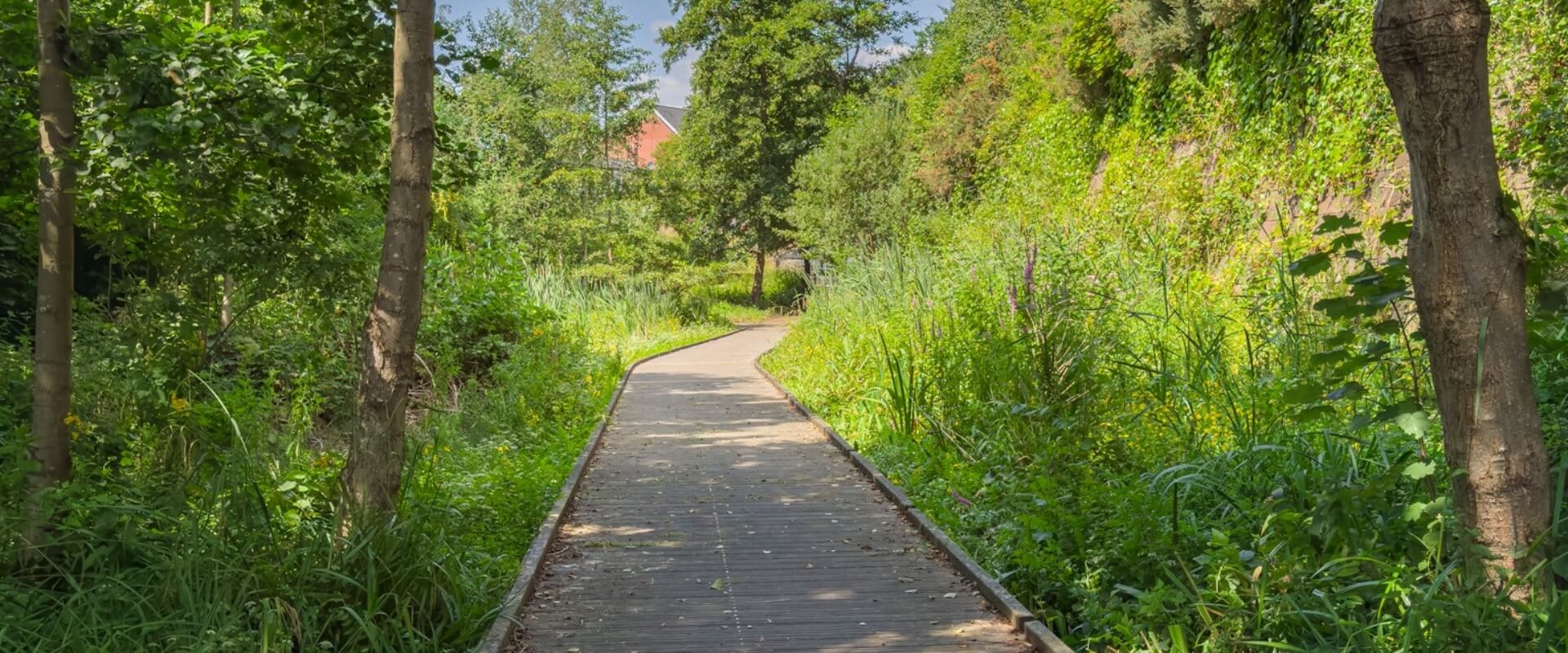 A boarded walkway weaves its way between trees and tall grass towards a house