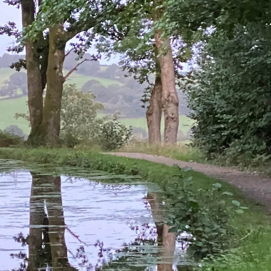 View of a canal with trees reflected in the water