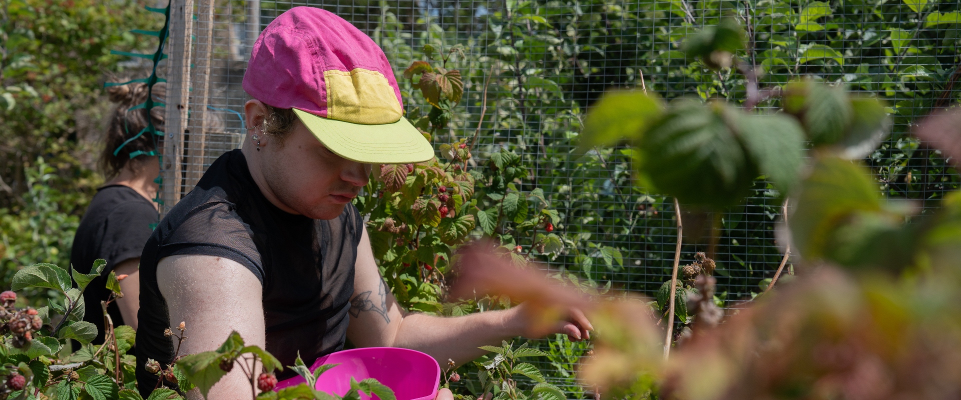 A young man with a pink and yellow cap harvests an abundant crop of food in an urban community garden.