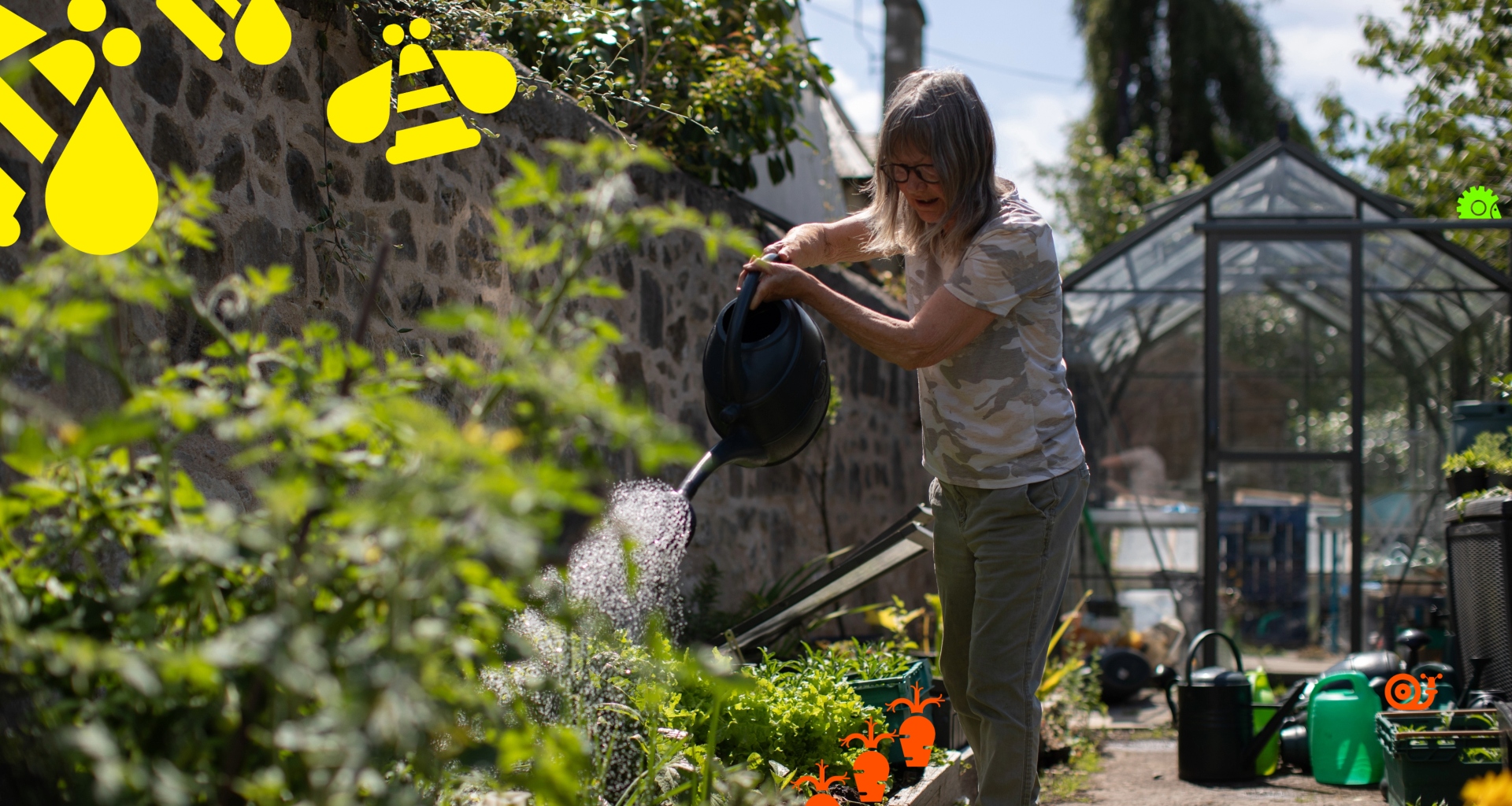 A lady stands in a lush urban garden, watering a raised bed of veg. The sunlight reflects off the watering can sprinkles, whilst gardening equipment and a greenhouse sit behind.