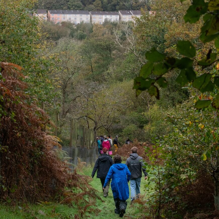 Young people walking along a grassy path surrounded by trees. In the background are a row of houses on a hill.