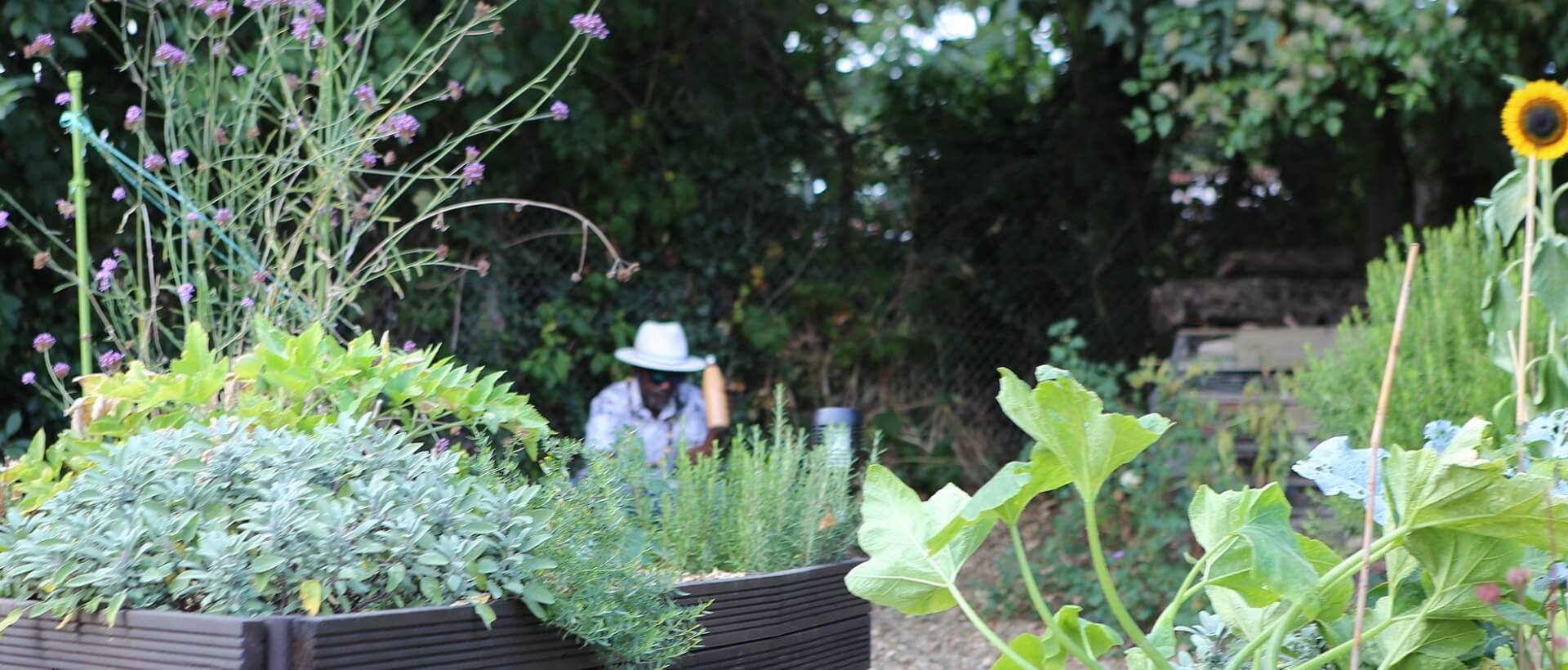 A person resting in a garden with planters and a sunflower in the foreground
