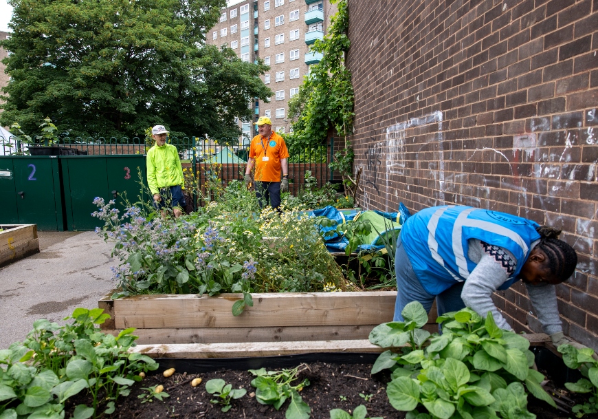 A small group of people tend to a series of raised gardening beds in an urban-looking corner of Leeds. They're wearing bright yellow, orange and blue, making them almost as colourful as the flowers bobbing in the beds.