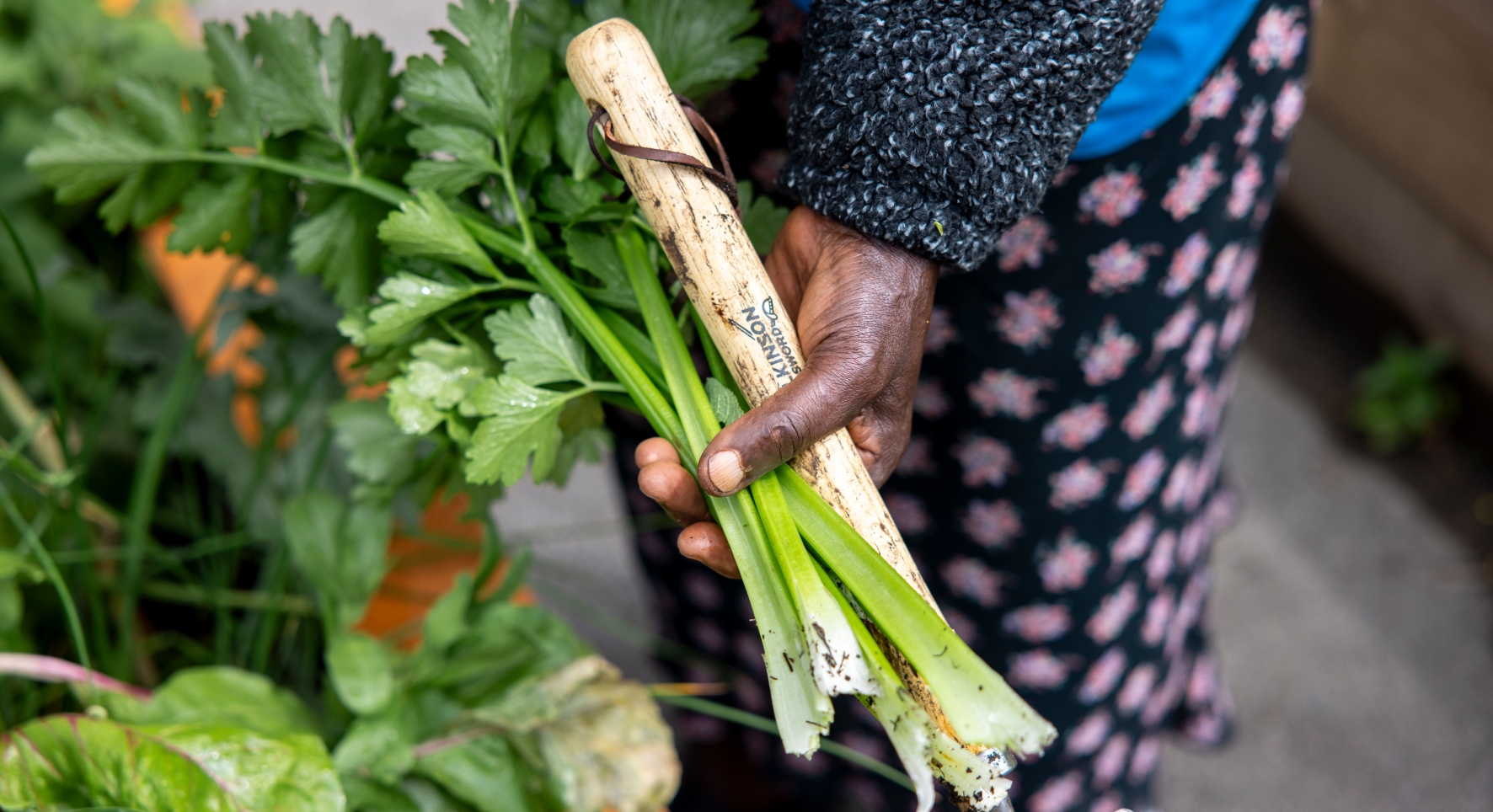 Close-up of home-grown green produce, held in the hands of their grower.