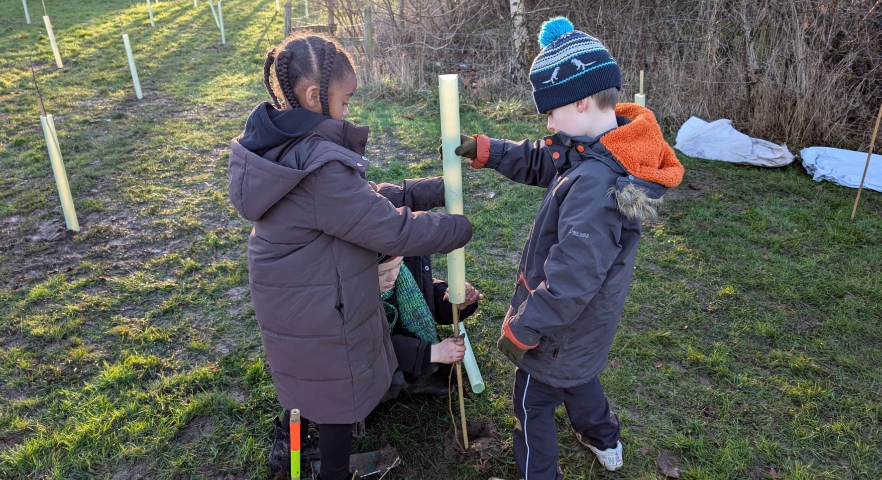 Three children plant a tree sapling together on a chilly-looking but sunny day. They're looking down to the ground as they steady the plastic wrap support.