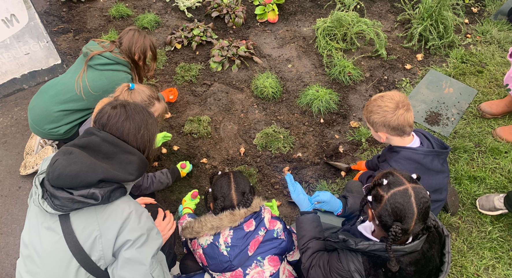 A birds-eye view of a group of children digging in a flower bed. We can only see the backs of their heads, but they look engaged and the range of existing plants suggests good progress.