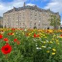A wildflower meadow with red, white and yellow blooms, leading up to a grand building set against a blue, summer sky.