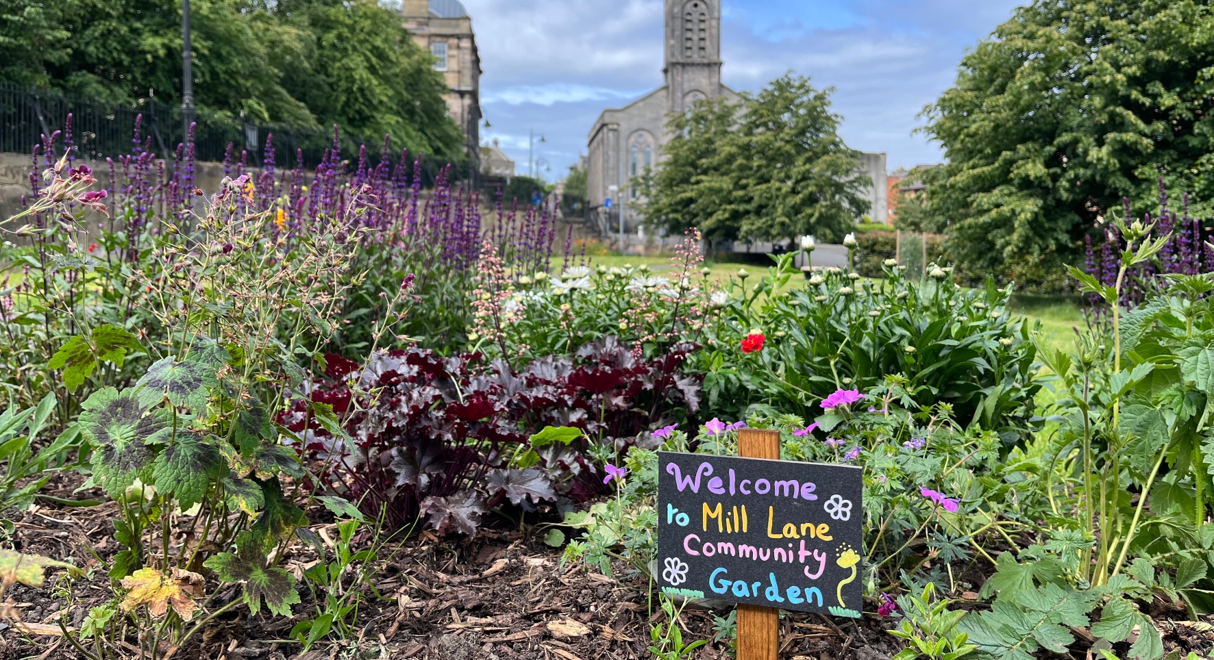 Foreground close-up of a packed flower bed, with a handwritten sign saying 'Welcoming to Mill Lane Community Garden'. A church, field and trees rise behind it in the distance.
