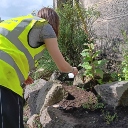 A person in high-vis tends to a flower bed. It's a sunny, summers day and the plants look to be thriving.